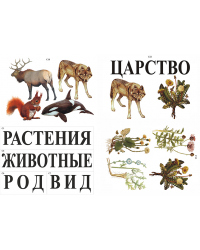 Модель-аппликация 