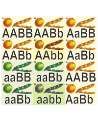 Модель-аппликация 